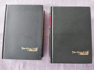 David Copperfield vol 1 y 2