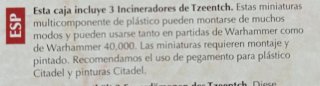 Warhammer 40,000: Flamers of Tzeentch