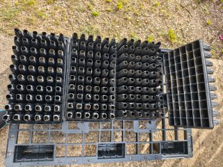 Bandejas Semillero Forestal 60 Alvéolos/ 20cm