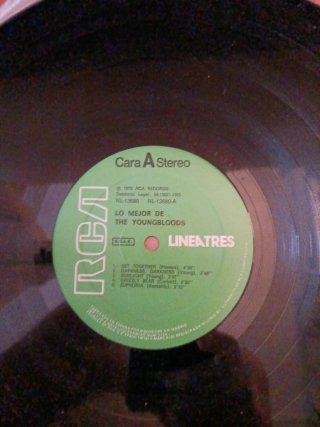 THE YOUNGBLODS - "Lo Mejor de Youngbloods" LP-1983