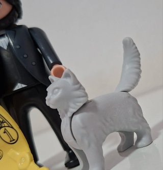 Playmobil custom hombre con gato y pergamino