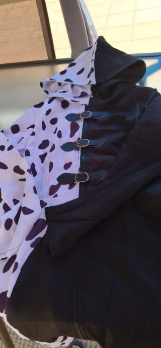 Disfraz Cruella Halloween Mujer XL