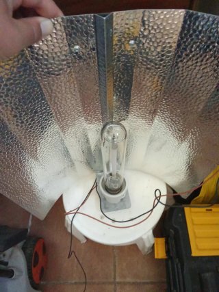 5 Focos HPS 600W Completos
