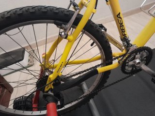 Bicicleta Orbea Amarilla + rodillo