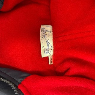Chaqueta Disneyland Paris con Capucha