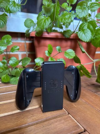 Nintendo Switch Oled + Funda y Accesorios