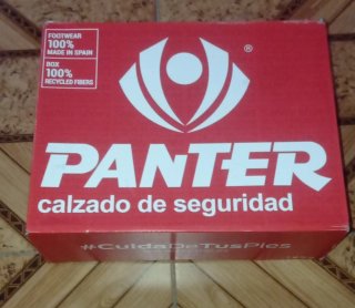 Zapatos de seguridad Panter negros