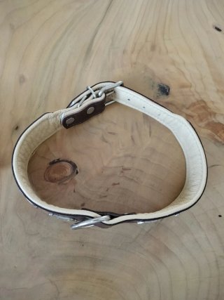 Collare per cane in pelle con decorazioni