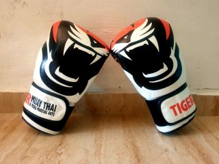 Clase boxeo
