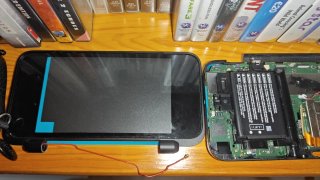 Nintendo 2DS XL Animal Crossing