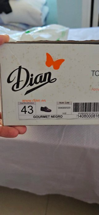 Zapatos de trabajo