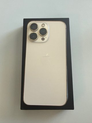 iPhone 13 Pro 100% batteria Oro Perfetto
