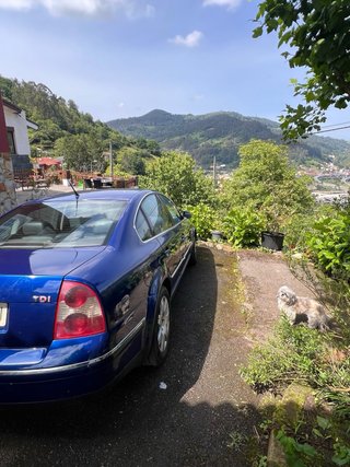 Volkswagen Passat 1.9 TDI 130CV Highline   Vendo