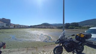 Benelli TRK502