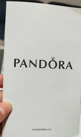 Pulsera Pandora 16cm Plata