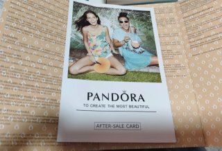 Pulsera Pandora 16cm Plata