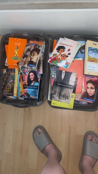 Lote de libros variados