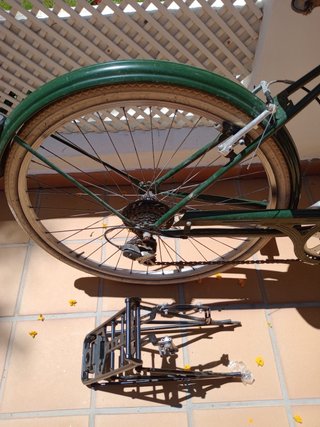 Bicicleta Paseo Verde con Silla Niño