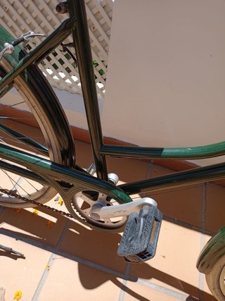 Bicicleta Paseo Verde con Silla Niño