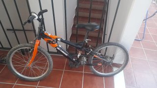 Bicicleta infantile DENBIKE 20 pollici
