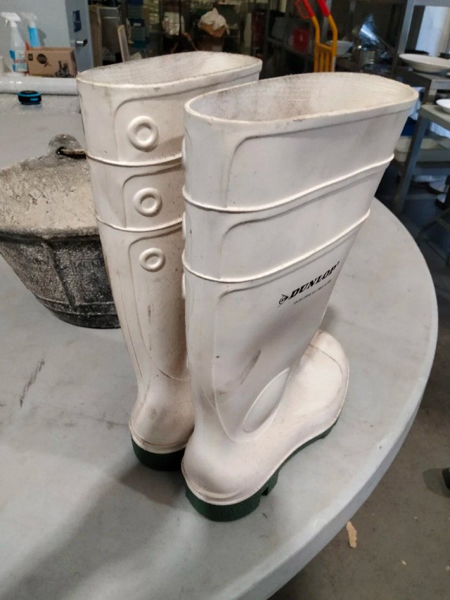 Botas de agua Dunlop seguridad puntera acero
