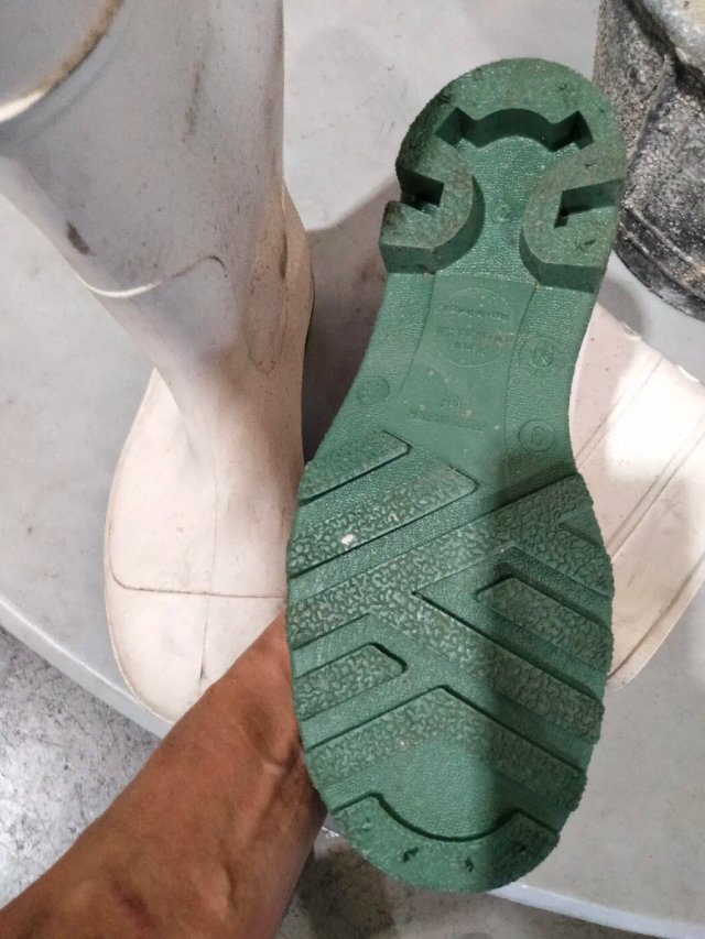 Botas de agua Dunlop seguridad puntera acero