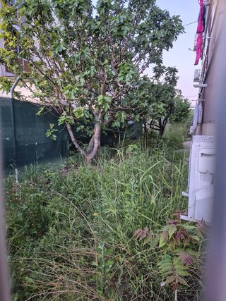 Jardinero