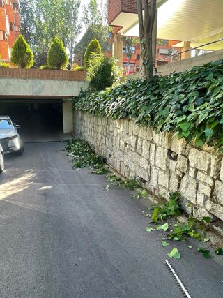 Jardinero