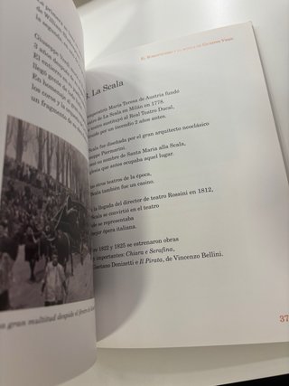 Pasión por la ópera. El romanticismo y la músic...