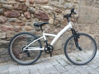 Bicicleta Infantil 24