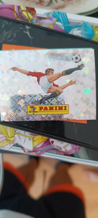 Cromo Panini Mundial 00