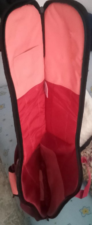 Funda Guitarra Eléctrica Ritter Original