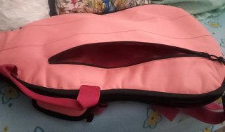 Funda Guitarra Eléctrica Ritter Original