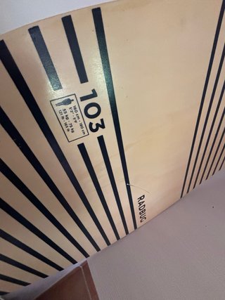 Tabla de surf RADBUG 103
