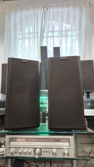 Altavoces Sony SS-E50II.
