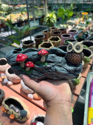 Maceta Decorativa Búho y Setas