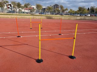 Circuito de agilidad