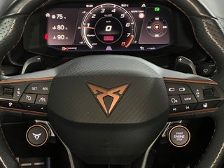 CUPRA Formentor 2.5 TSI 287kW (390 CV) VZ5 4Drive DSG