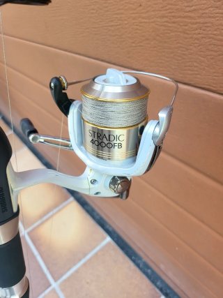 Caña de pescar Shimano Beast Master 390