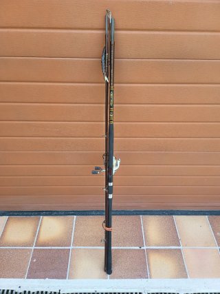 Caña de pescar Shimano Beast Master 390