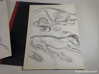 Dibujo Picasso Carnet de Dessins 1948