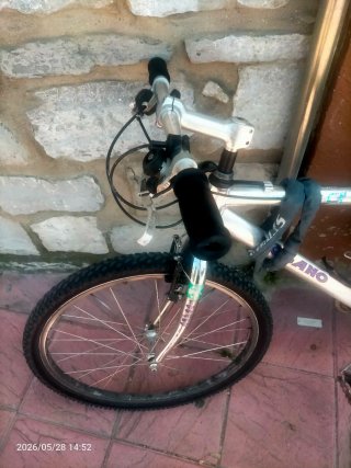 Bicicleta de Montaña