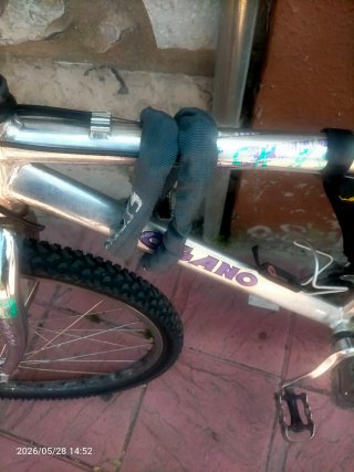 Bicicleta de Montaña
