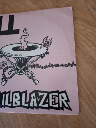 Vinilo ALL - Trailblazer Punk Rock