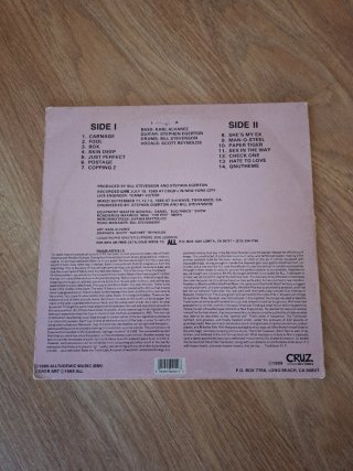 Vinilo ALL - Trailblazer Punk Rock