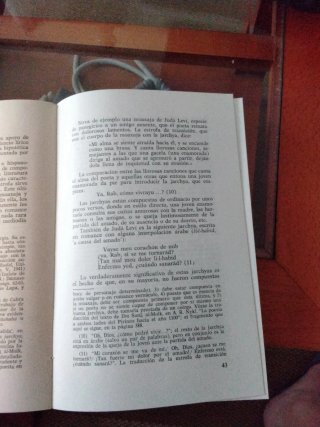 Historia de la literatura medieval española (S...
