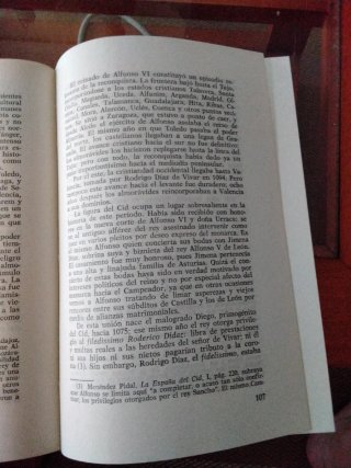 Historia de la literatura medieval española (S...