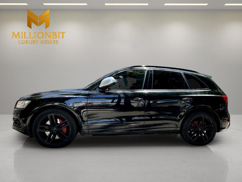 Audi SQ5 TDI 3.0 Competition Quattro tiptronic (2015) 2015, foto 2