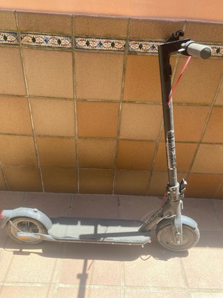 Patinetes eléctricos muy cuidados