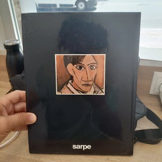 Libro de Arte Picasso